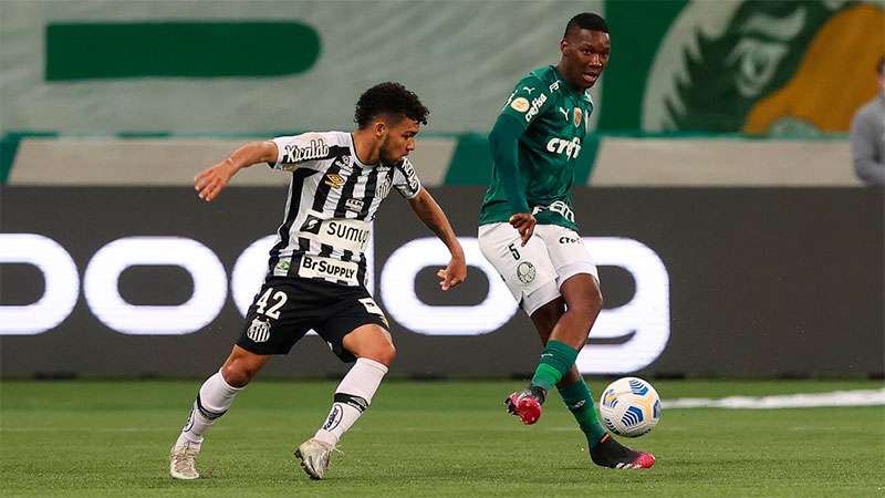 Patrick de Paula, do Palmeiras, em lance de jogo contra o Santos