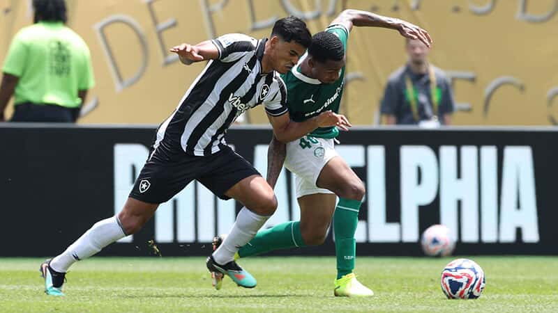 Palmeiras 1x0 Botafogo-RJ